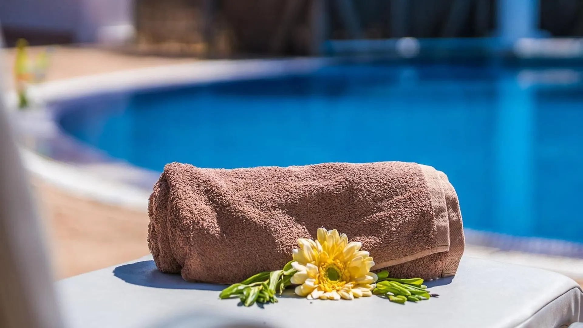 Prázdninový dům Pet-Friendly Country House With Pool Sa Pobla